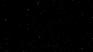 Gerçek Kar, yağan kar 4K 'da siyah zemin üzerinde izole edilmiş beste, hareket grafikleri için kullanılacak.