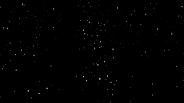 Real Snow, vallende sneeuw geïsoleerd op zwarte achtergrond in 4K te gebruiken voor het componeren, motion graphics. — Stockvideo