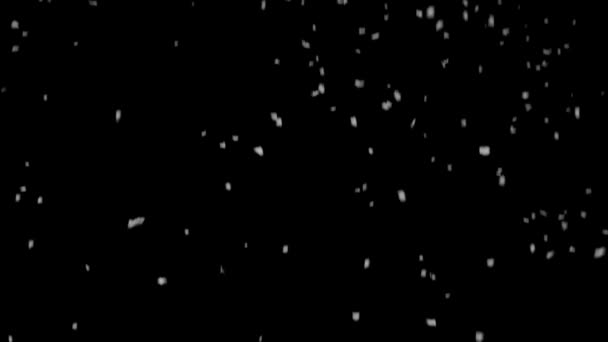 Nieve real, nieve caída aislada sobre fondo negro en 4K para ser utilizado para componer, gráficos en movimiento. — Vídeo de stock