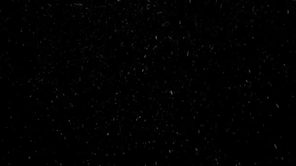 Skutečný sníh, padající sníh izolovaný na černém pozadí v 4K pro kompozice, pohybová grafika. — Stock video