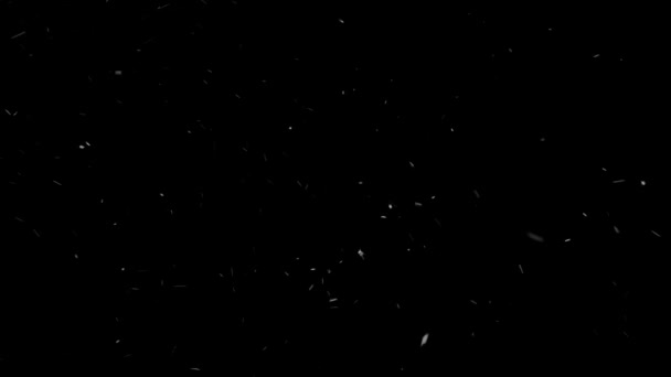 Gerçek Kar, yağan kar 4K 'da siyah zemin üzerinde izole edilmiş beste, hareket grafikleri için kullanılacak. — Stok video