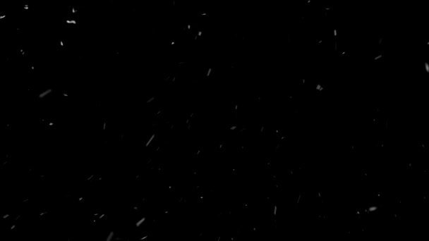 Nieve real, nieve caída aislada sobre fondo negro en 4K para ser utilizado para componer, gráficos en movimiento. — Vídeo de stock