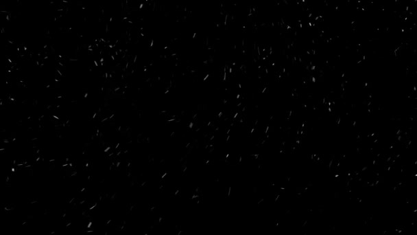 Echter Schnee, fallender Schnee isoliert auf schwarzem Hintergrund in 4K zum Komponieren, Motion Graphics. — Stockvideo