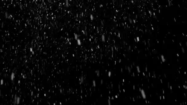 Echter Schnee, fallender Schnee isoliert auf schwarzem Hintergrund in 4K zum Komponieren, Motion Graphics. — Stockvideo