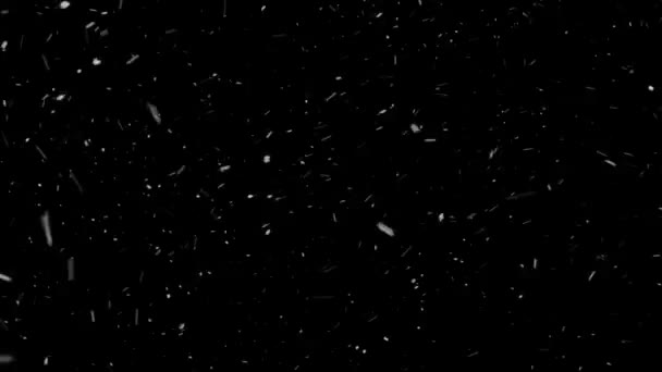 Neige véritable, neige tombante isolée sur fond noir en 4K à utiliser pour composer, motion graphics. — Video