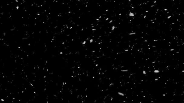Neve reale, neve caduta isolata su fondo nero in 4K da utilizzare per comporre, motion graphics. — Video Stock
