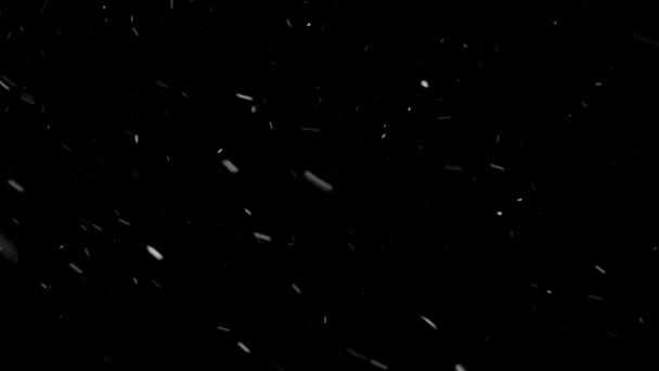 Neve reale, neve caduta isolata su fondo nero in 4K da utilizzare per comporre, motion graphics. — Video Stock