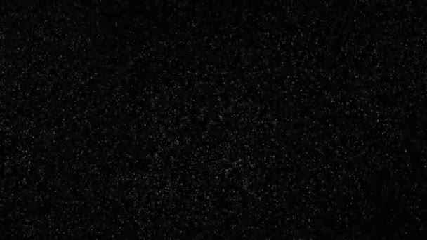 Porrészecskék háttér. Gabonaanyag. Hatástalanított fehér por repül a sötétben. — Stock videók