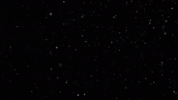 塵粒子の背景。穀物の質感。暗闇の中を飛ぶ白色の粉. — ストック動画