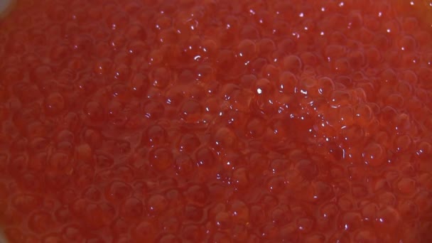 Red caviar spoon gain — Stock Video