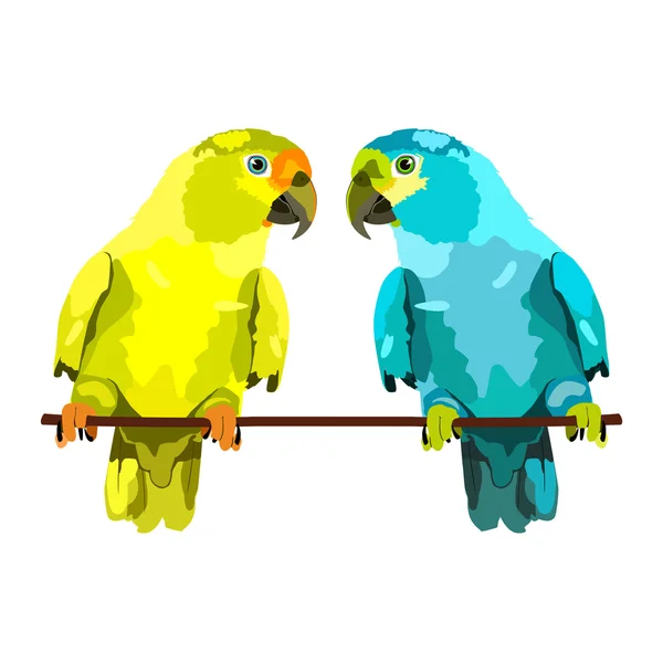 Иллюстрация двух попугаев — стоковый вектор