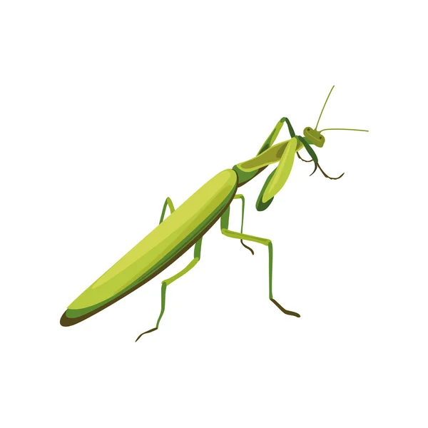 Ilustración de una mantis. símbolo del estilo de lucha — Archivo Imágenes Vectoriales