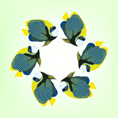 Altı Yüzme balıklar illüstrasyon vektör. Pomacanthus Imperator