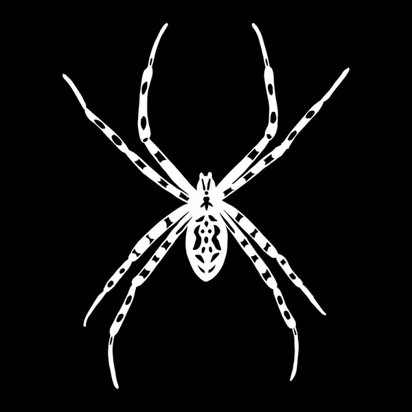 Blanco y negro spider. Argiope bruennichi — Archivo Imágenes Vectoriales