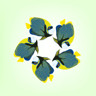Beş Yüzme balıklar illüstrasyon vektör. İmparator angelfish. 