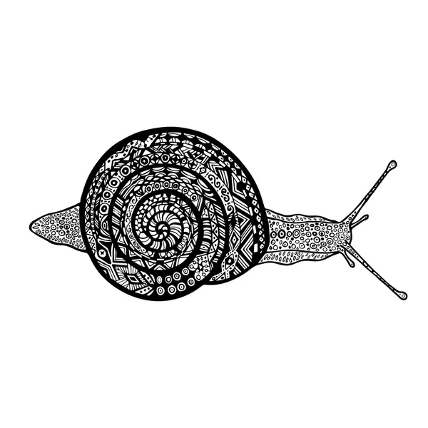 Escargot dessiné de main sur fond blanc. Escargot de vecteur — Image vectorielle