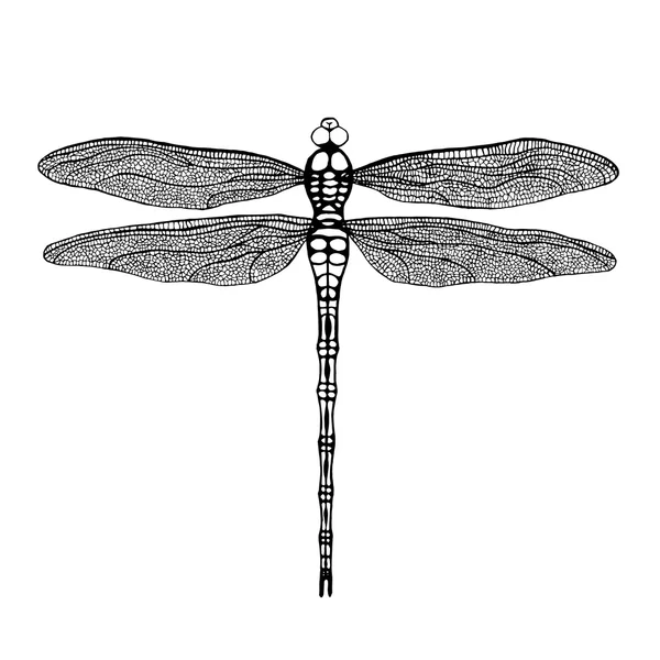 Dragonfly. Ważka czarno na białym tle. — Wektor stockowy