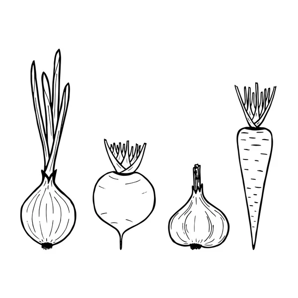 Illustrazione di verdure. Barbabietola, carota, cipolla, aglio di vettore — Vettoriale Stock