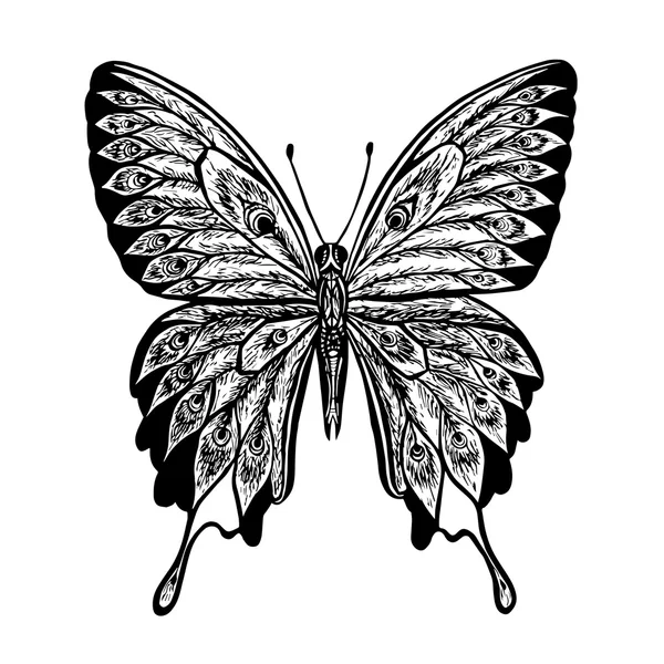Vector butterfly. Black and white butterfly. Papilio blumei. — Stock Vector