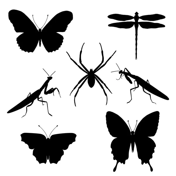 Conjunto de vectores de siluetas de insectos - mariposa, araña, mantis — Vector de stock