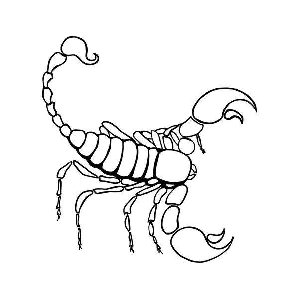 Signe du zodiaque Scorpion dans l’horoscope. — Image vectorielle