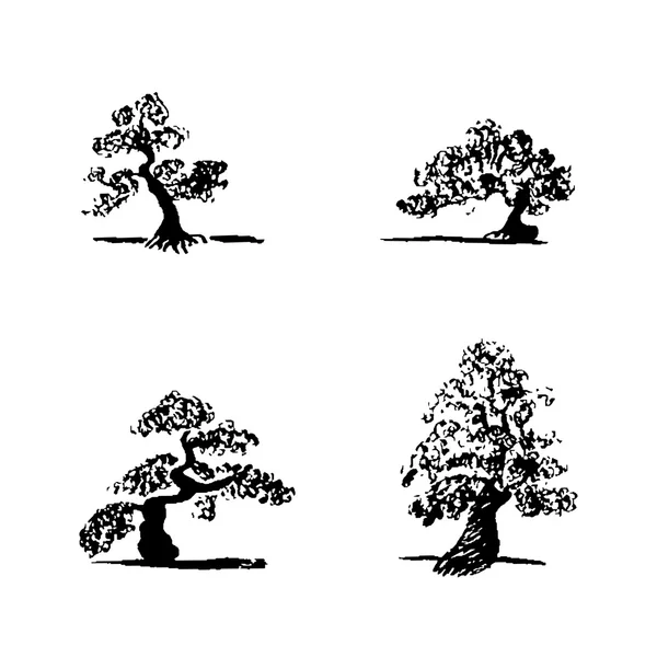 Uppsättning av handen ritning skiss fyra bonsaiträd — Stock vektor