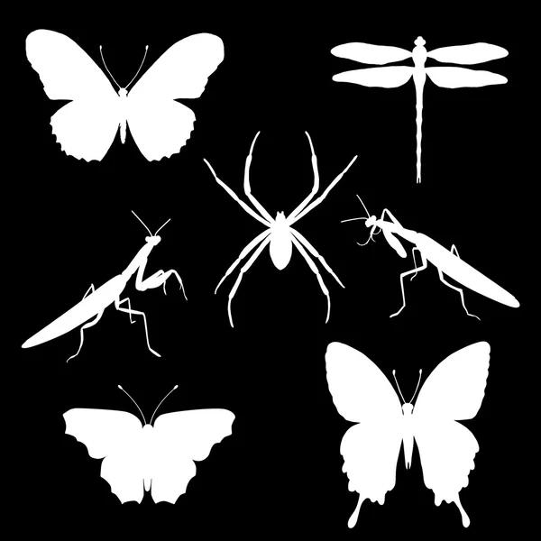 Böceklerin - kelebekler, örümcek siluetleri vektör kümesi — Stok Vektör