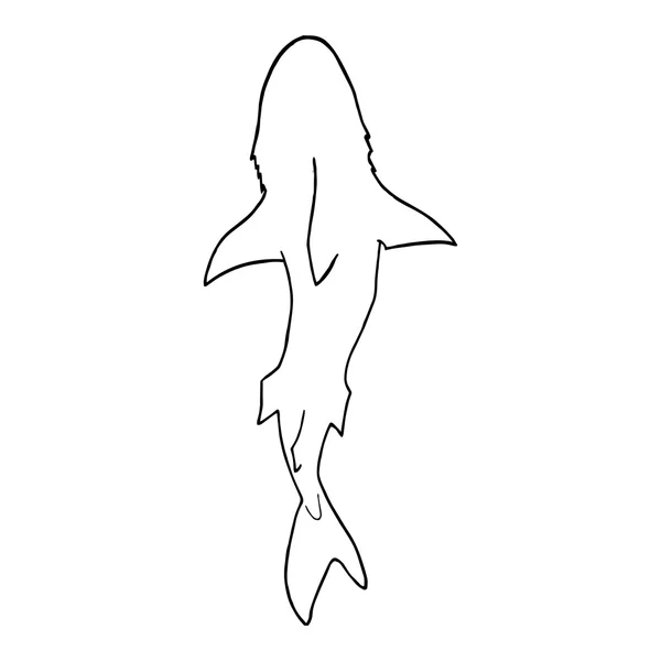 Vector illustration of shark silhouette. Vector shark top view. — Stock Vector