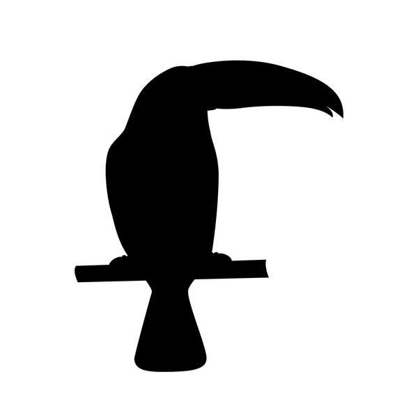 Vektorové ilustrace černé Tukan siluetu. Tukan silueta — Stockový vektor