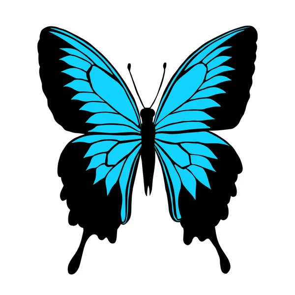 Ilustración de vector de mariposa con alas negras y azules — Vector de stock