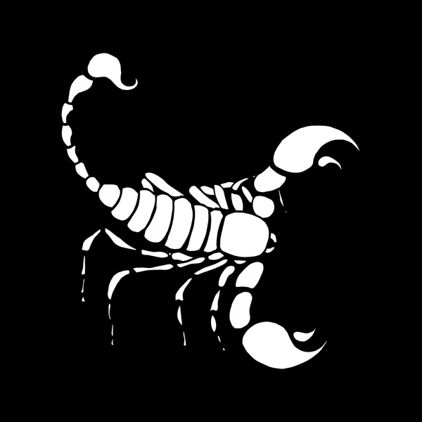 Знак зодиака Скорпион в гороскопе. Вектор рука рисования Скорпион — стоковый вектор