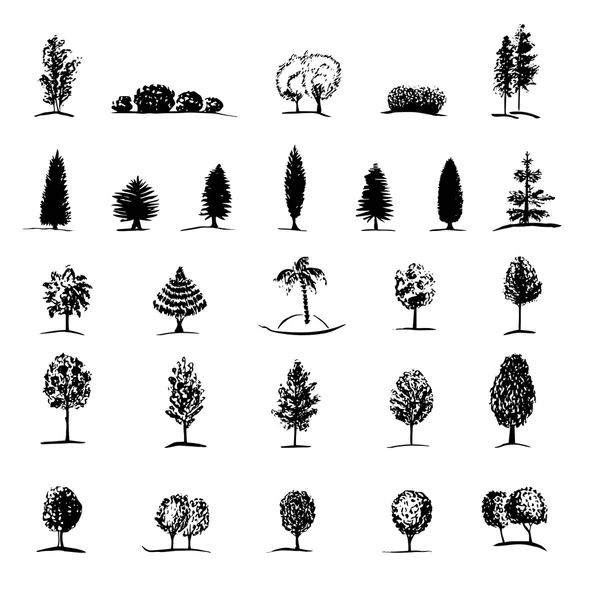 Ensemble d’arbres de croquis dessinés à la main — Image vectorielle