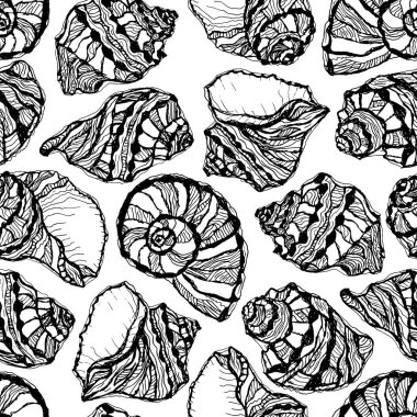 Vector illustration of marine seamless pattern. Hand drawn sea shells. Coloring page book. Sketch clams