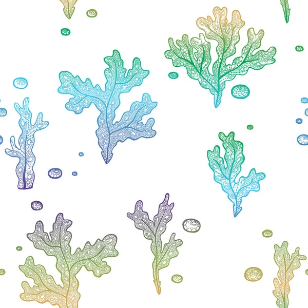 Vector Illustration Hand Drawn Gradient Algae White Background Marine Seamless — Διανυσματικό Αρχείο