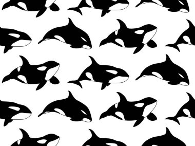 Vector seamless pattern of hand drawn killer whale swimming on white background. Jamb of Orca