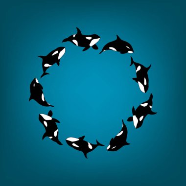 Vector illustration killer whales swimming in a circle. Marine animal Orca round frame on blue gradient background