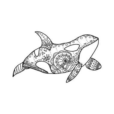 Vector illustration of hand drawn patterned killer whale. Doodle Orca. Coloring page book anti stress for adult
