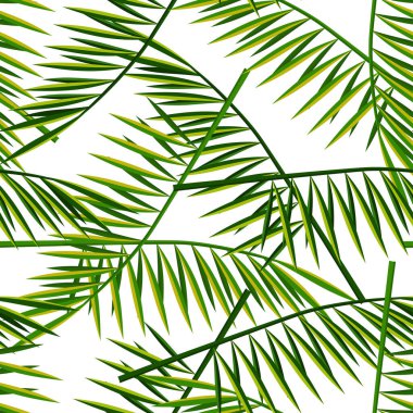 Vector seamless pattern with palm leaves. Summer illustration. Exotic tropical foliage.