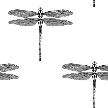 Vector seamless pattern from black hand drawing dragonfly on white background. Hand drawn damselfly