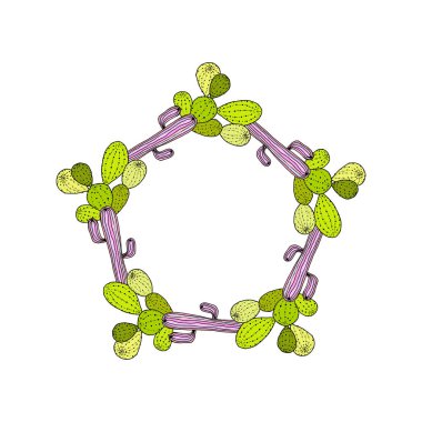 Vector illustration of frame from cartoon cactus. Hand drawn card, template from cactus