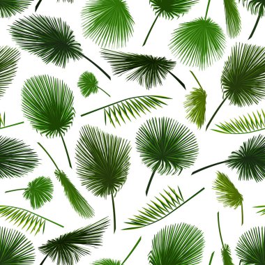 Vector seamless pattern of colorful palm leaf on white background. Tropical palm leaves background