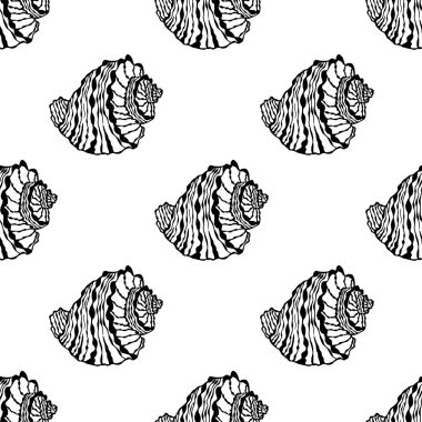 Vector seamless pattern from black seashell on white background. Hand drawn illustration of sketches mollusk sea shells.