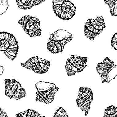 Vector seamless pattern from black seashell on white background. Hand drawn illustration of sketches mollusk sea shells.