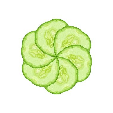 Vector decorative round from cucumber slice on white background