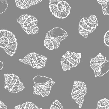 Gri arka planda beyaz deniz kabuğundan vektörsüz desen. El çizimleri yumuşakça deniz kabukları.
