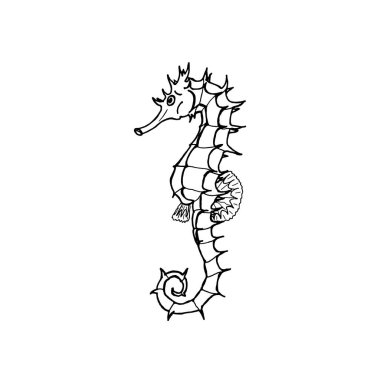 Deniz atı siluetinin vektör çizimi. El çizimi denizatı