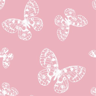 Pembe arka planda beyaz el kelebeğinin kusursuz deseni. Parnassius apollo arkaplanı