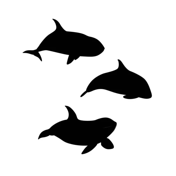 Illustration Vectorielle Silhouette Dessinée Main Épaulard Silhouette Famille Orca Animal — Image vectorielle