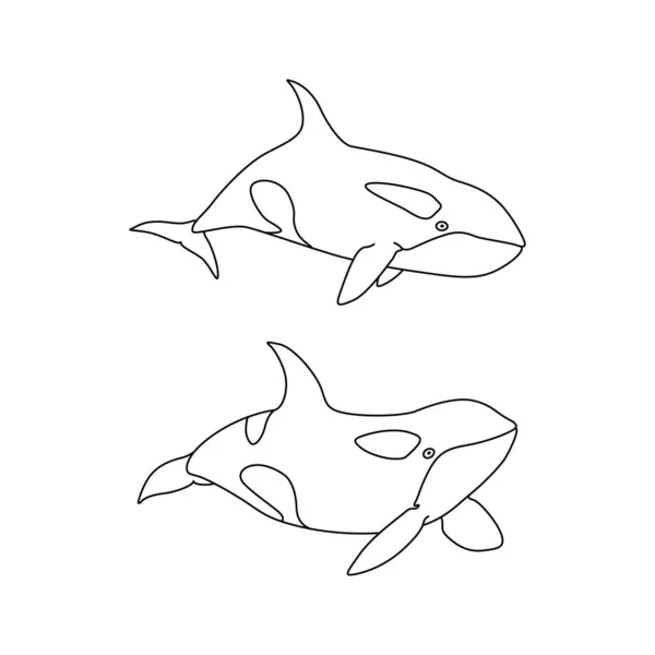 Ilustração Vetorial Esboço Conjunto Baleias Assassinas Linha Arte Desenho Animado — Vetor de Stock