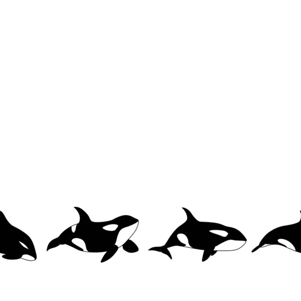 Vector Seamless Border Graphical Killer Whale Swimming White Background — Image vectorielle